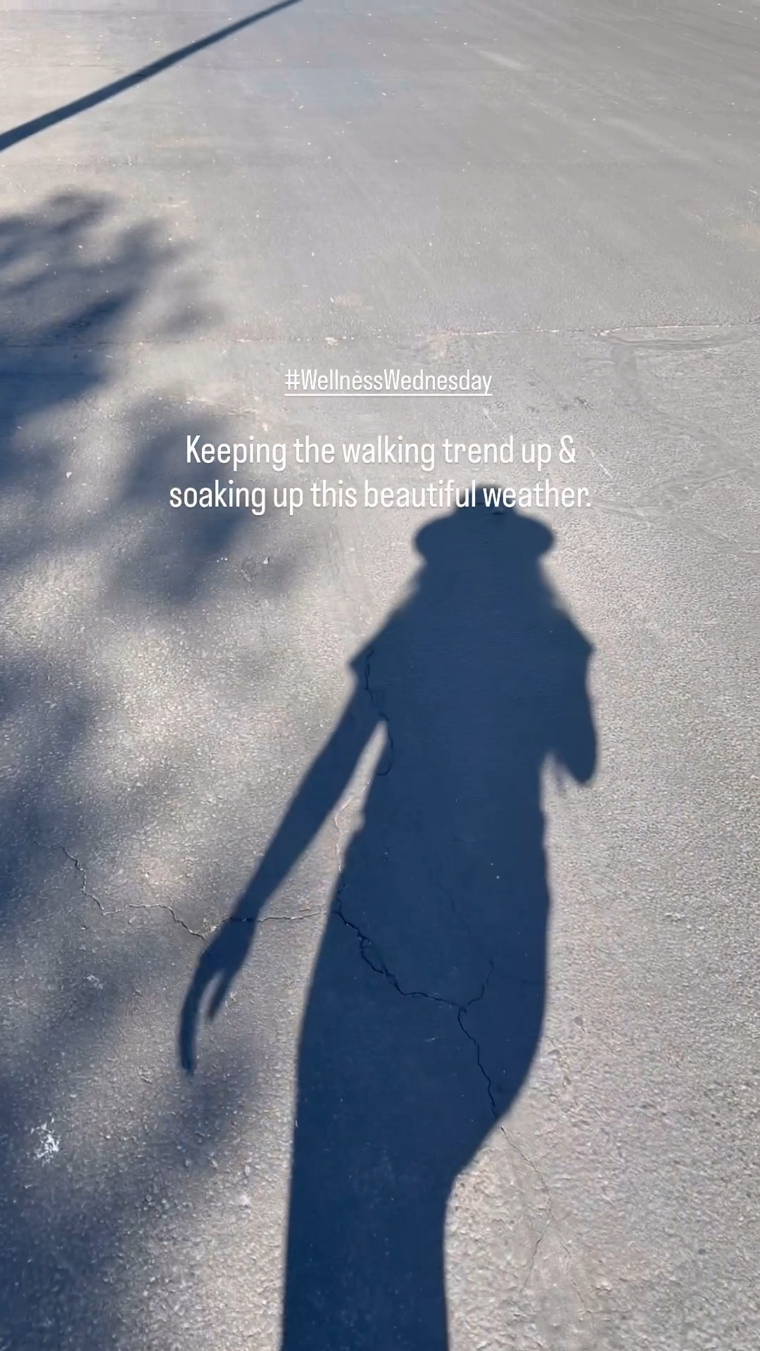 And also added my weighted vest! 

#LTKdayinmylife #LTKActive #LTKOver40