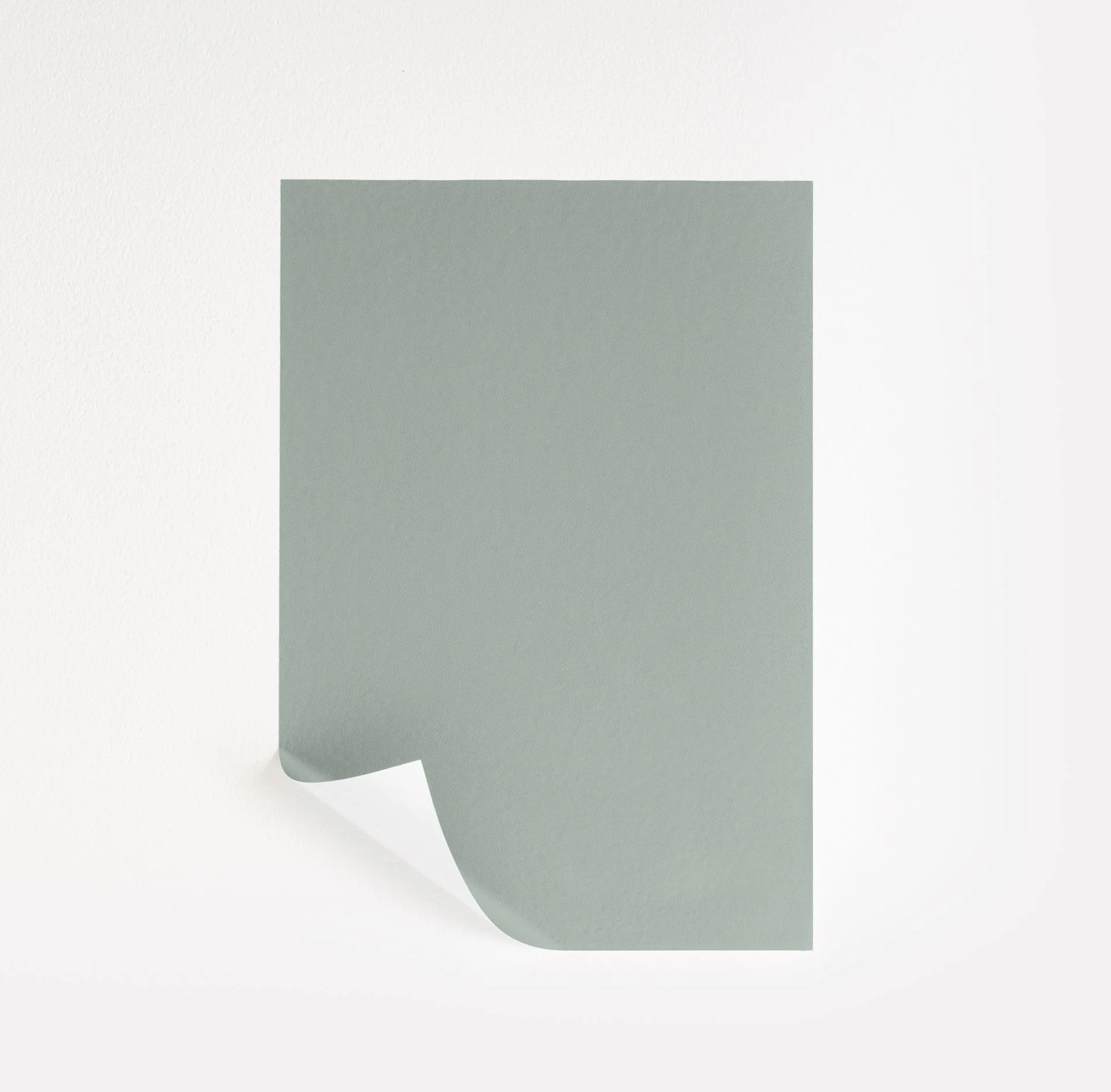 Quietude Paint Sample by Sherwin-Williams (6212) | Peel & Stick Paint Sample | Samplize