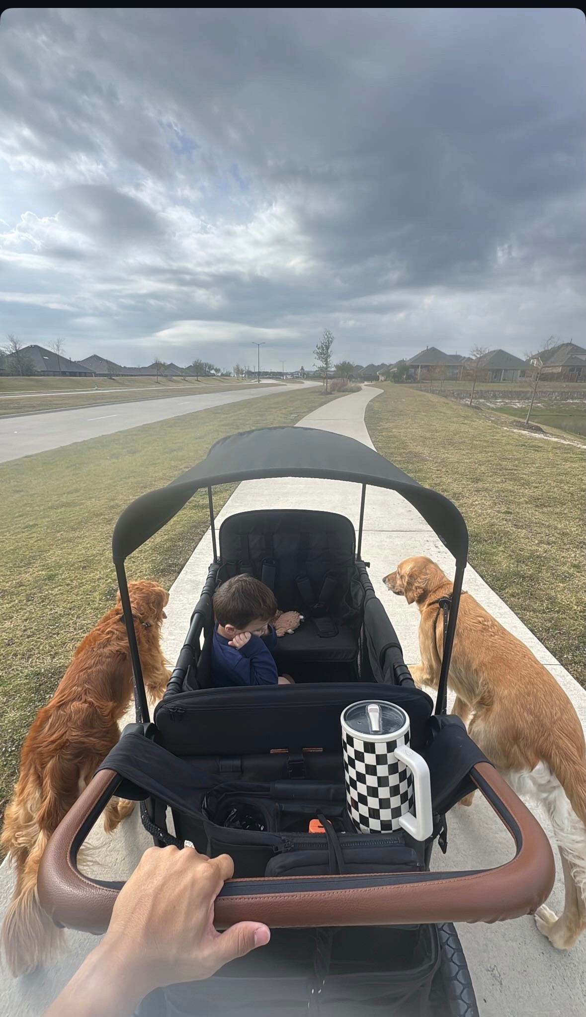 Walk essentials for baby & dogs ☺️

#LTKGiftGuide #LTKFamily #LTKActive