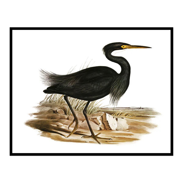 Vintage Black Crane | Urban Garden Prints
