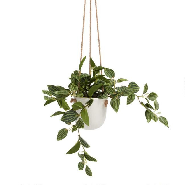 Faux Peperomia Quadrangularis Plant in Hanging Pot | World Market