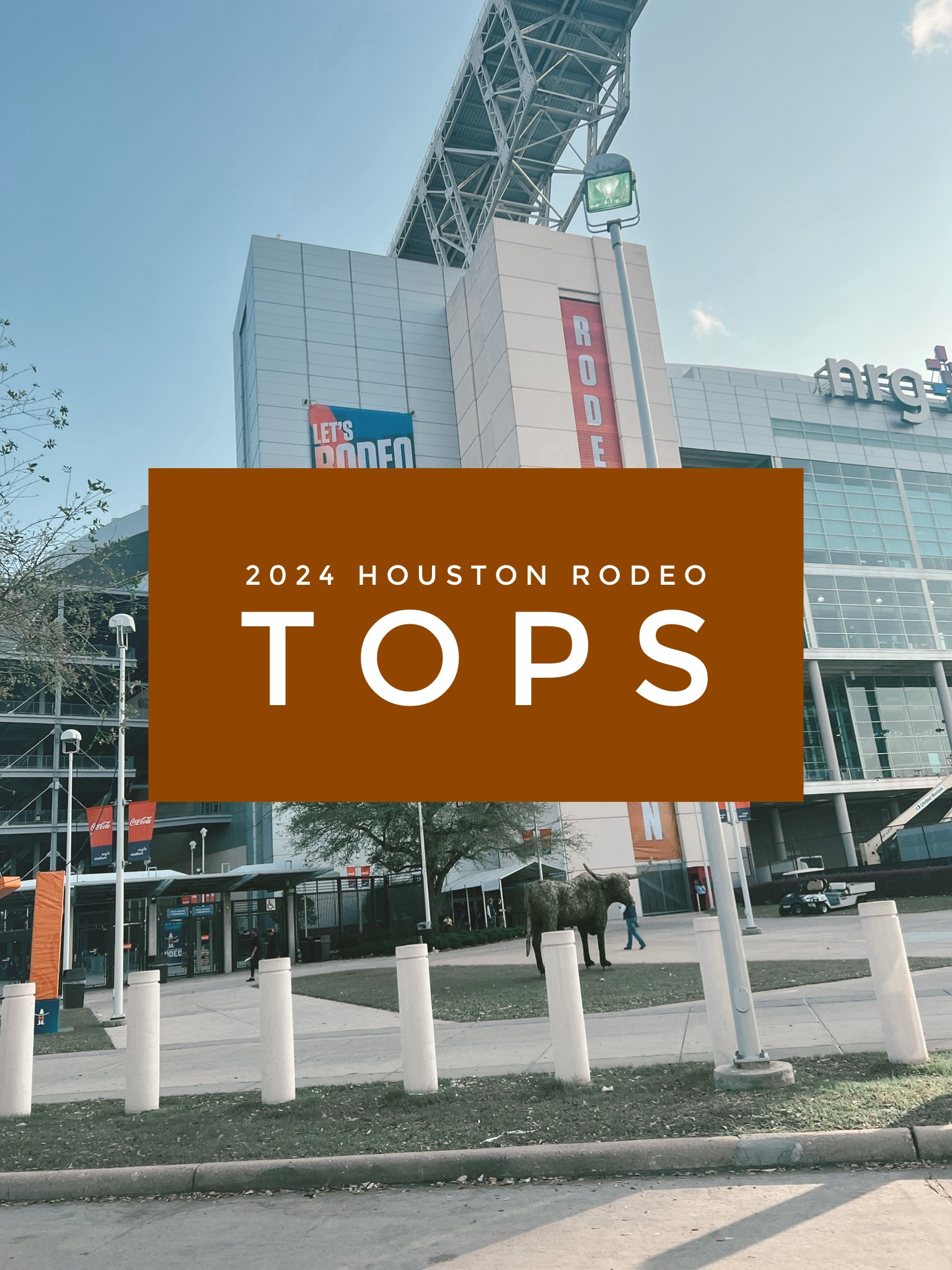 Houston rodeo tops/outfits 

#LTKstyletip #LTKSeasonal