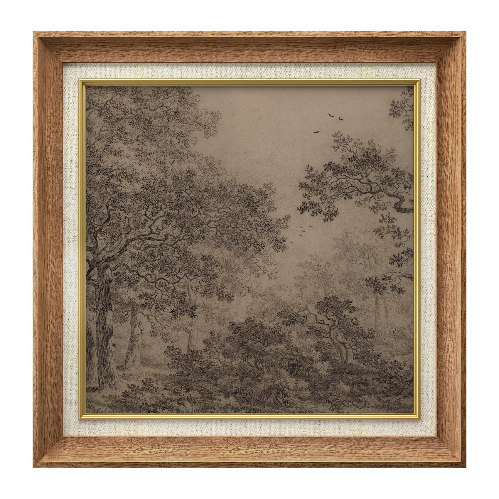MUDECOR Premium Framed Wall Art Vintage Forest Sketch Classic Illustrations Fine Art Decorative R... | Amazon (US)
