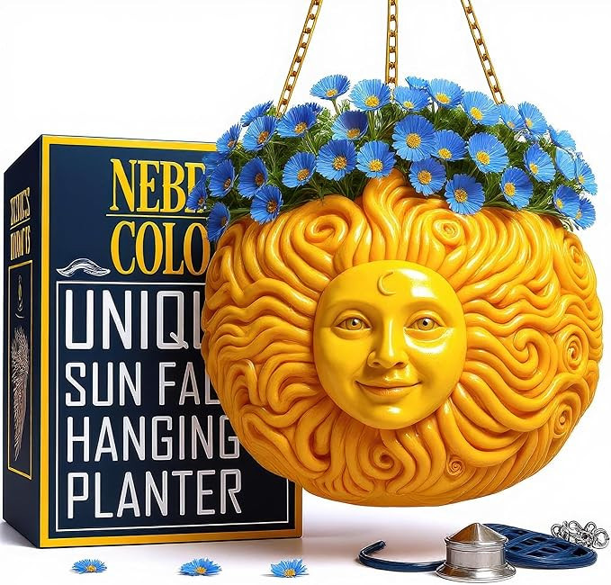 Fun & Unique Sun Face Hanging Planter Quirky Celestial Decor for Plant Lovers – Indoor Outdoor ... | Amazon (US)