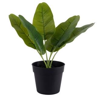 9" Potted Banana Leaf by Ashland® | Michaels Stores