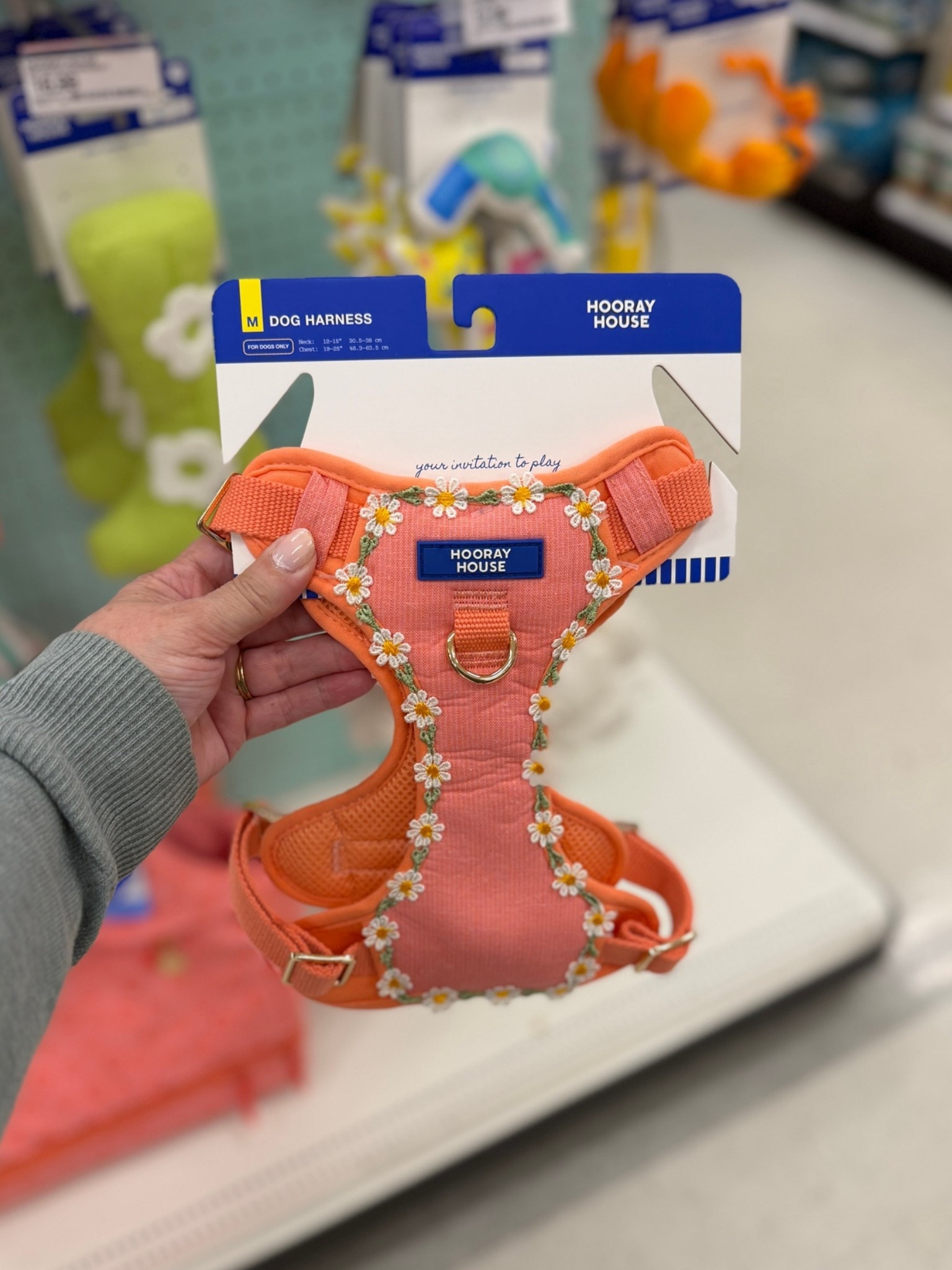 The most chic pet supplies for dog and cat moms