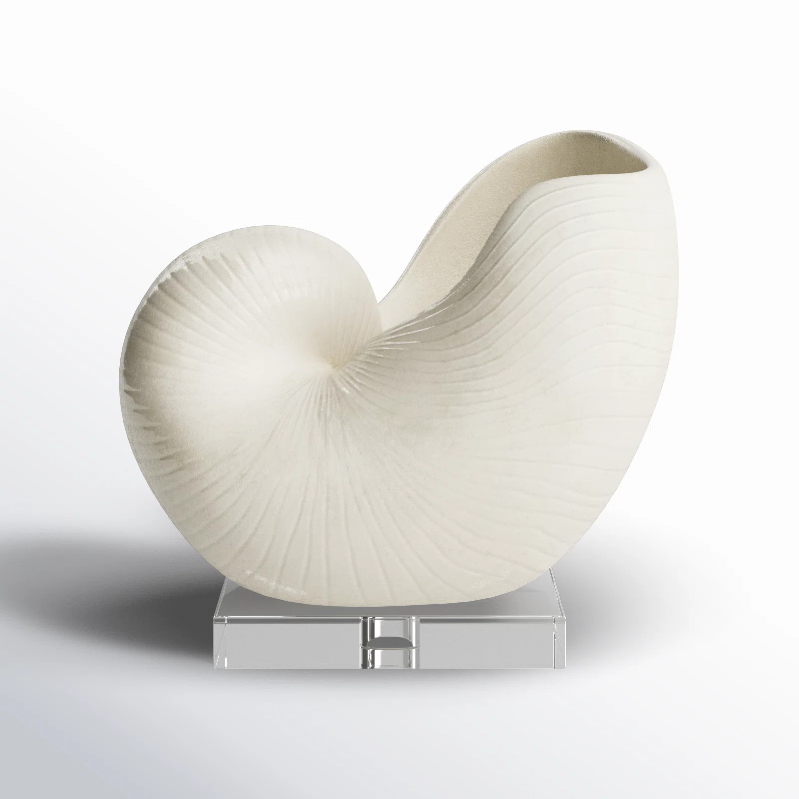 Lakefield Shell Sculpture | Birch Lane