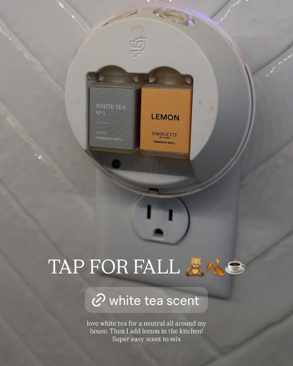 SWIPE FOR FALL SCENTS 🖤✨

#LTKSeasonal #LTKFindsUnder50 #LTKHome