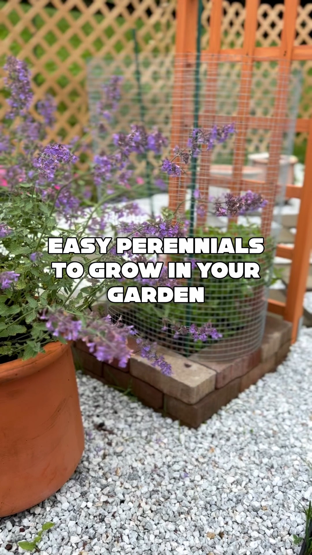 #LTKSeasonal #LTKHome