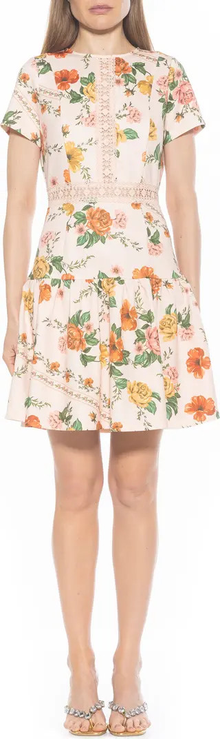 Alexa Lace Trim Fit & Flare Dress | Nordstrom Rack