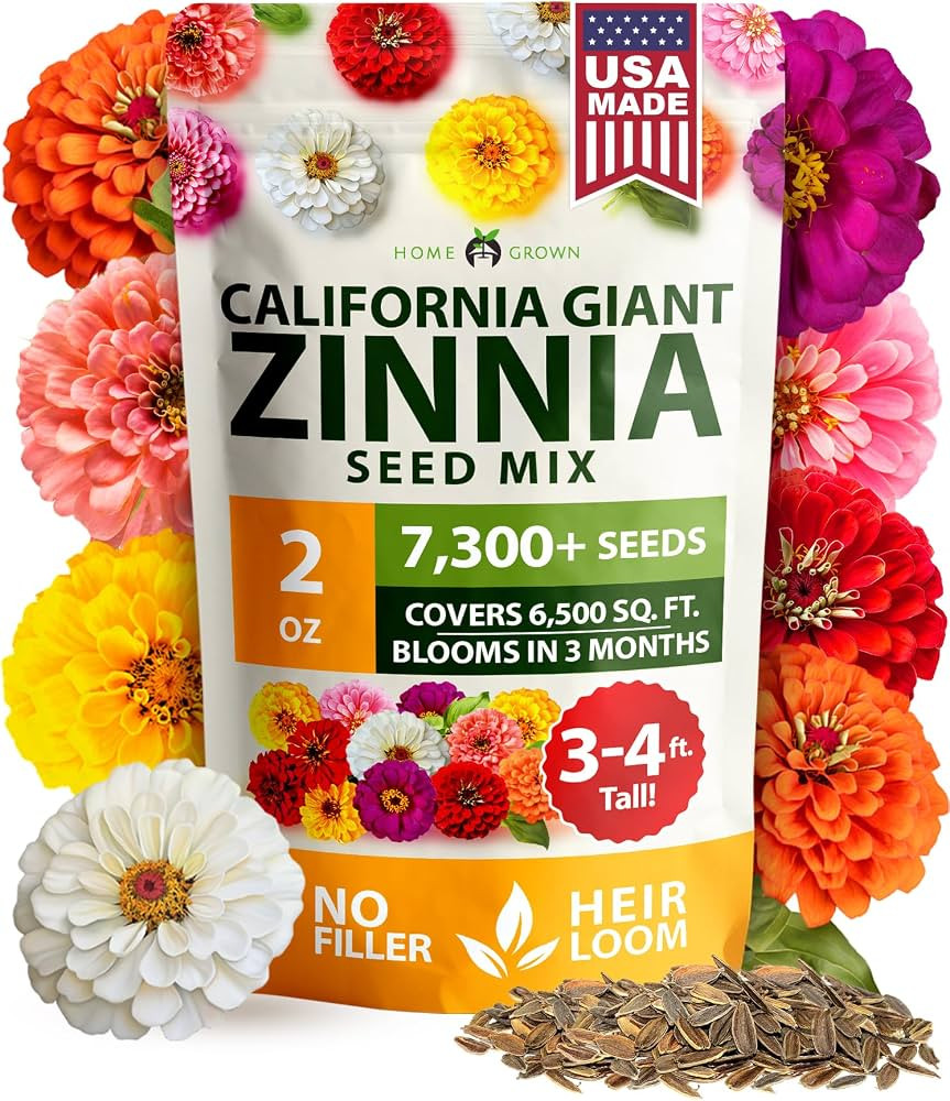 HOME GROWN Zinnia Seeds for 2026 - California Giant Mix - 7,300+ (2 oz) 𝗡𝗢𝗡-𝗚𝗠𝗢... | Amazon (US)