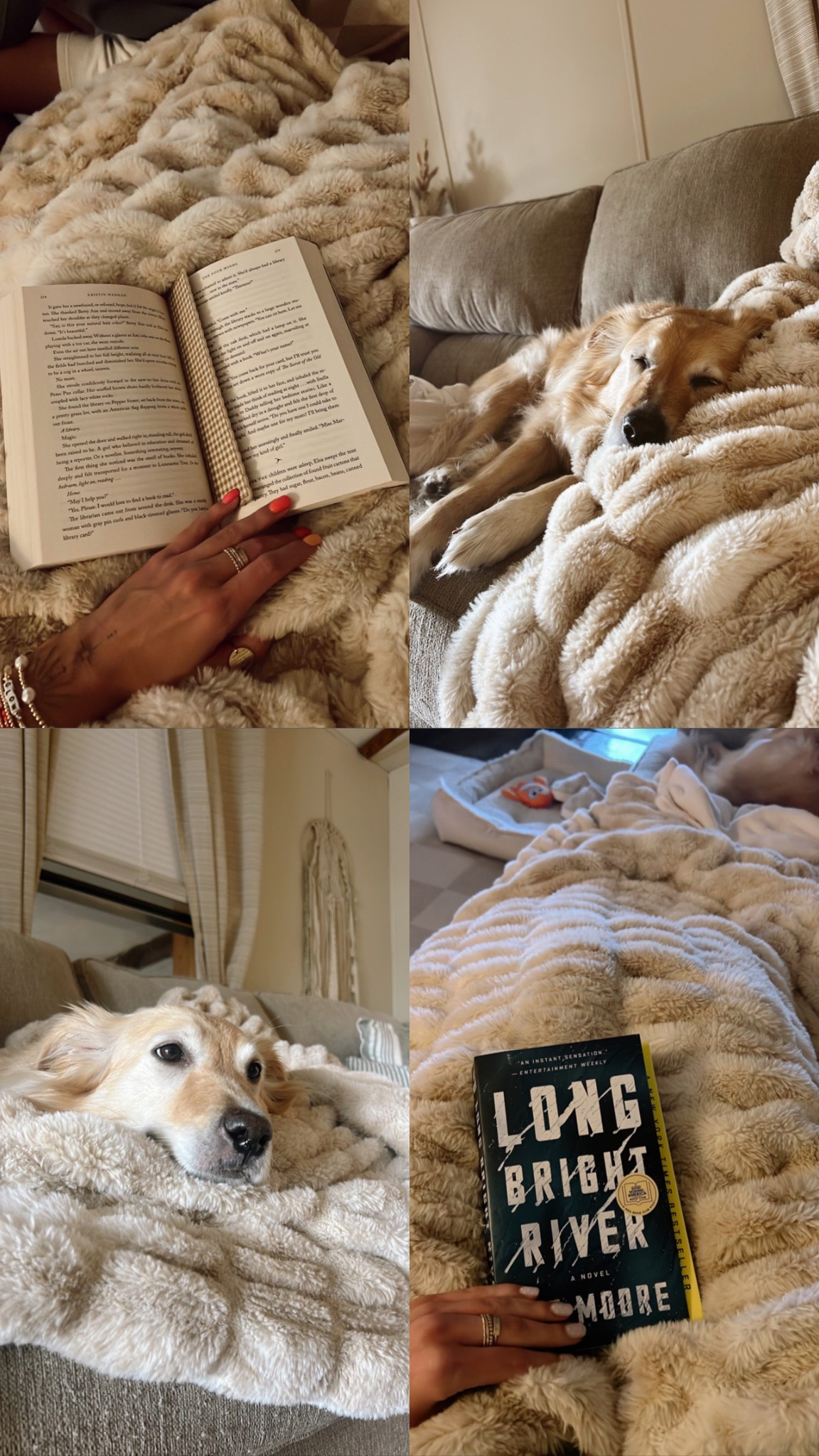 BRADY50 to save on my favorite blankets ever!! 

#LTKSaleAlert #LTKHome #LTKGiftGuide