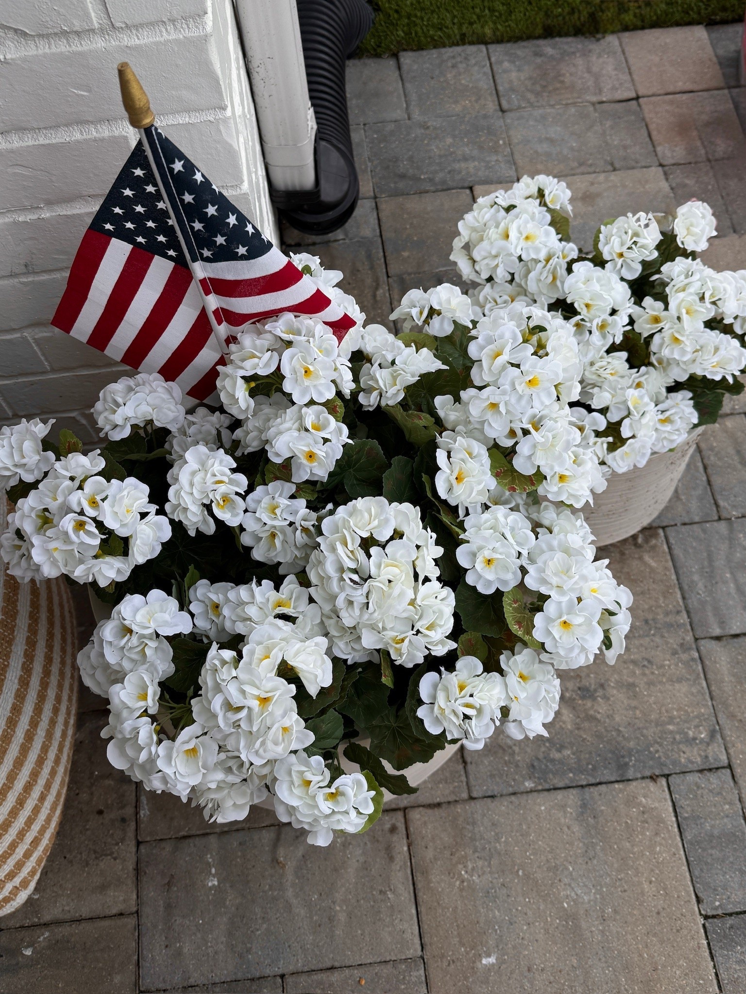 These faux outdoor stems are from AMAZON and look so realistic!!!!!! They come in time for the 4th too!

amazon finds, amazon outdoor, amazon stems, amazon seasonal

#LTKSeasonal #LTKHome
