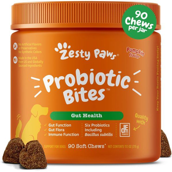 ZESTY PAWS Probiotic Bites Pumpkin Flavored Soft Chews Gut Flora & Digestive Supplement for Dogs,... | Chewy.com