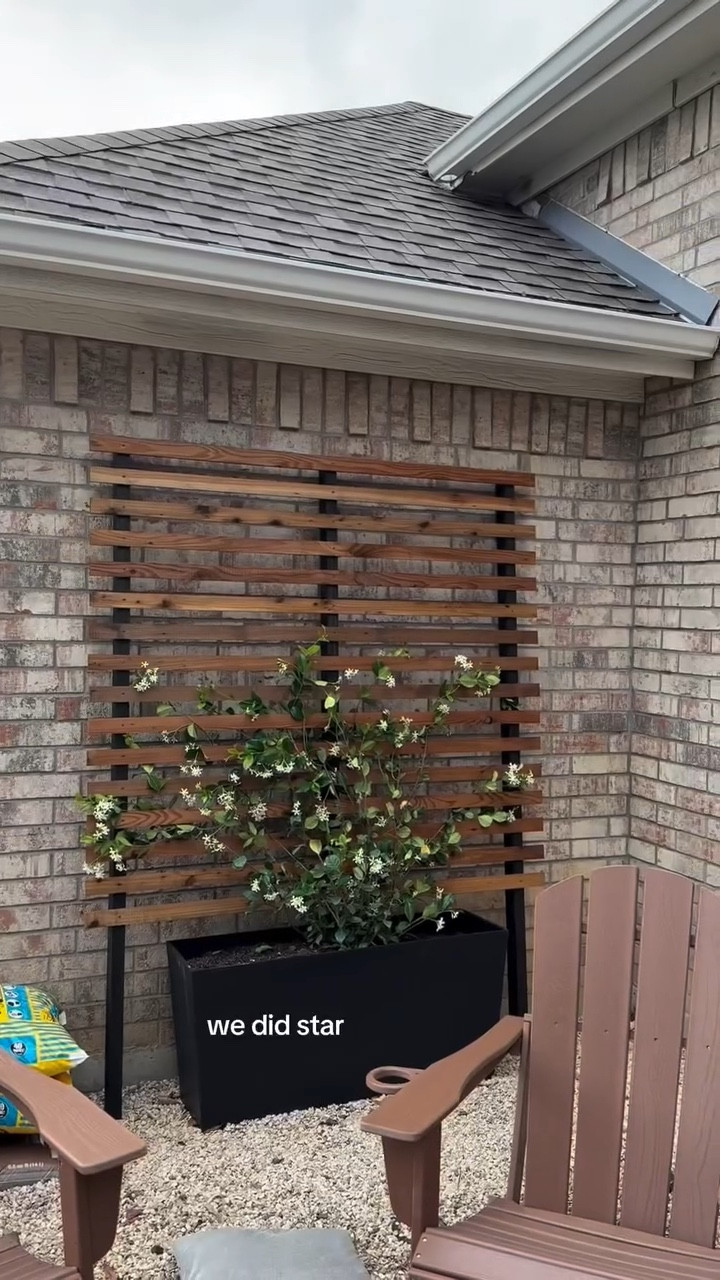 Shoutout to my husband for making all my ideas happen so quickly 🥰

Do we love the wooden trellis or should we gave gone with wire?

#backyardgarden #trellis #starjasmine #backyardupgrade #gardeninspo

#LTKHome