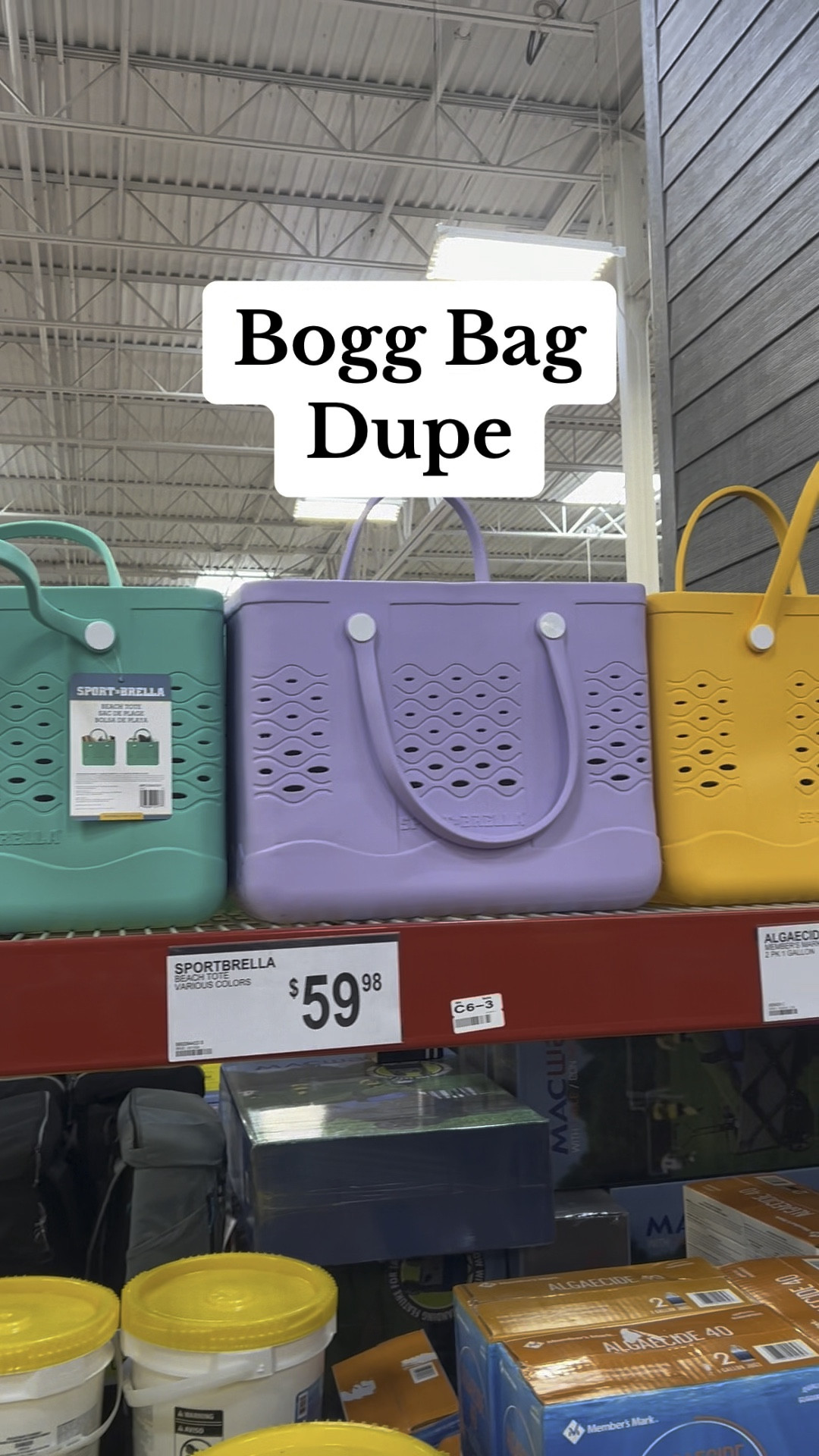 This is a must have for the beach this summer! #boggbag #samsclub #samsclubfinds #samsclubdeals #samsclubbing 