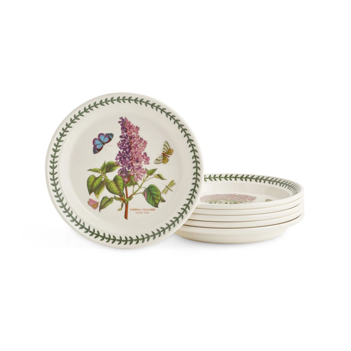 Portmeirion Botanic Garden Plate Salad 8.5" (Set of 6) | Wayfair North America