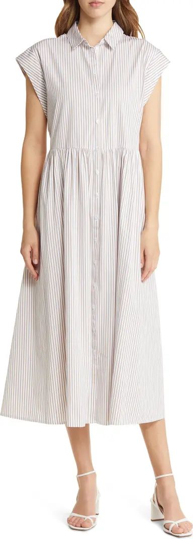 Stripe Drop Waist Button Front Cotton Dress | Nordstrom