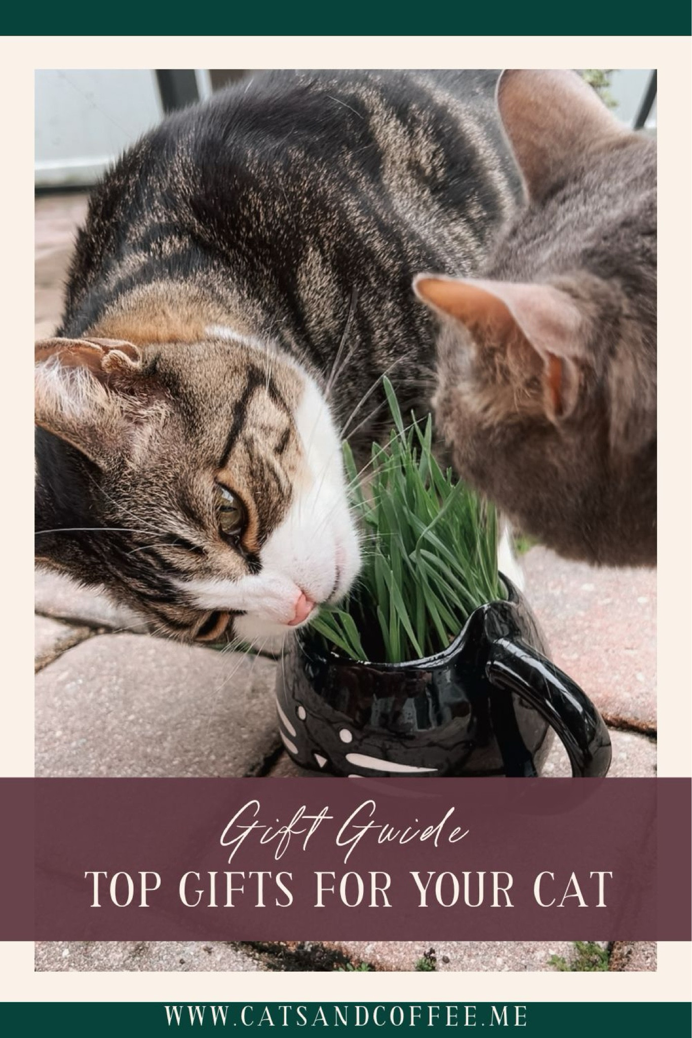 Spoil your cat this Christmas with gifts from Amazon, Chewy, and Anthropologie—think cat grass kits, heated beds, and stylish cat trees!

#LTKGiftGuide #LTKHome #LTKFamily