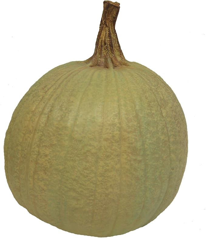 Hickory Manor House Medium Pumpkin for Home Decor, Sage Green | Amazon (US)