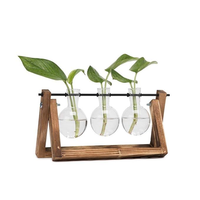HYINDOOR Desktop Plant Terrarium Glass Planter Bulb Vase with Retro Solid Wooden Stand and Metal ... | Amazon (US)