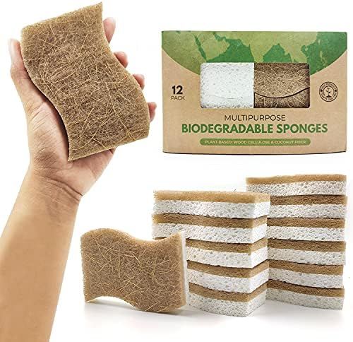 AIRNEX Biodegradable Natural Kitchen Sponge - Compostable Cellulose and Coconut Walnut Scrubber S... | Amazon (US)