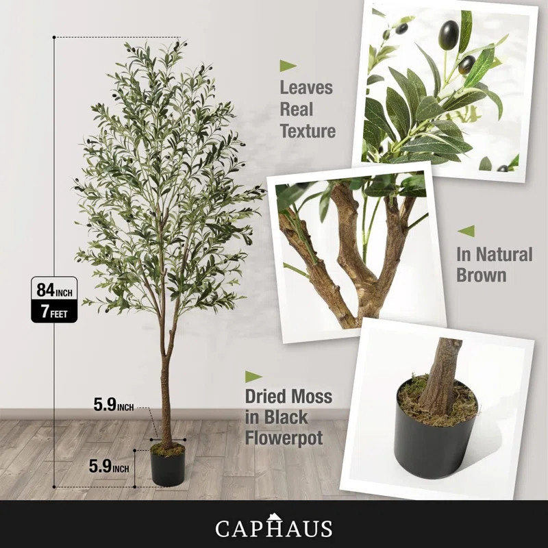 CAPHAUS Artificial Olive Tree with Fruit, Fake Potted Topiary Tree with Dried Moss, 5 / 6 / 7 Fee... | Wayfair North America