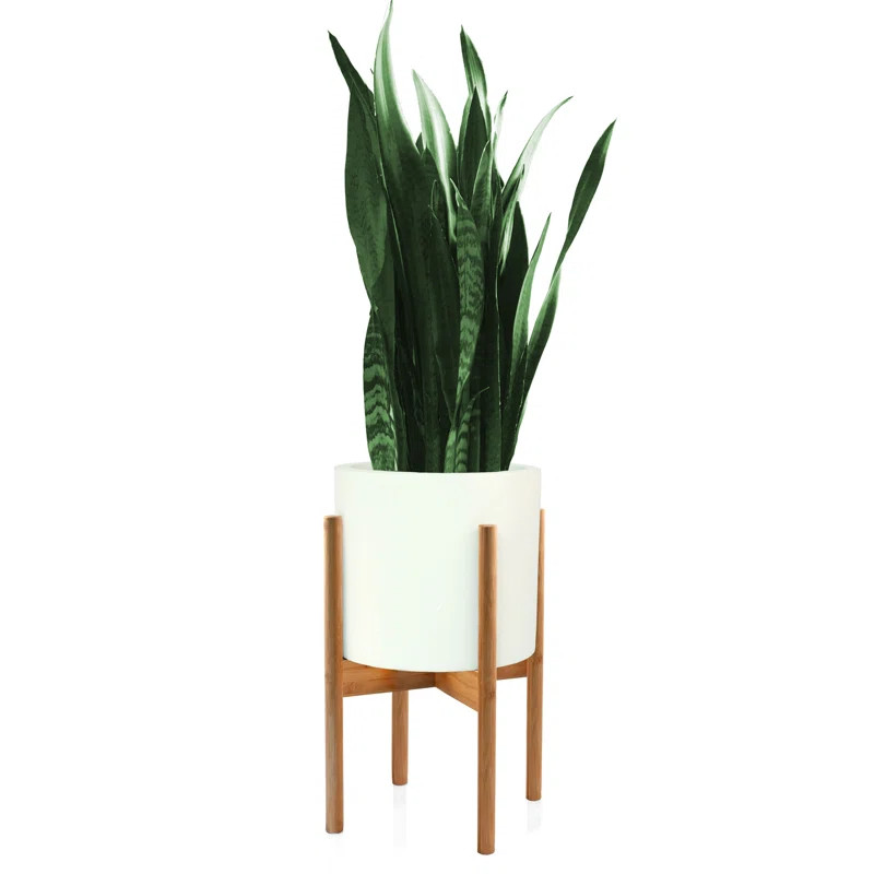 Plant Stand | Wayfair North America