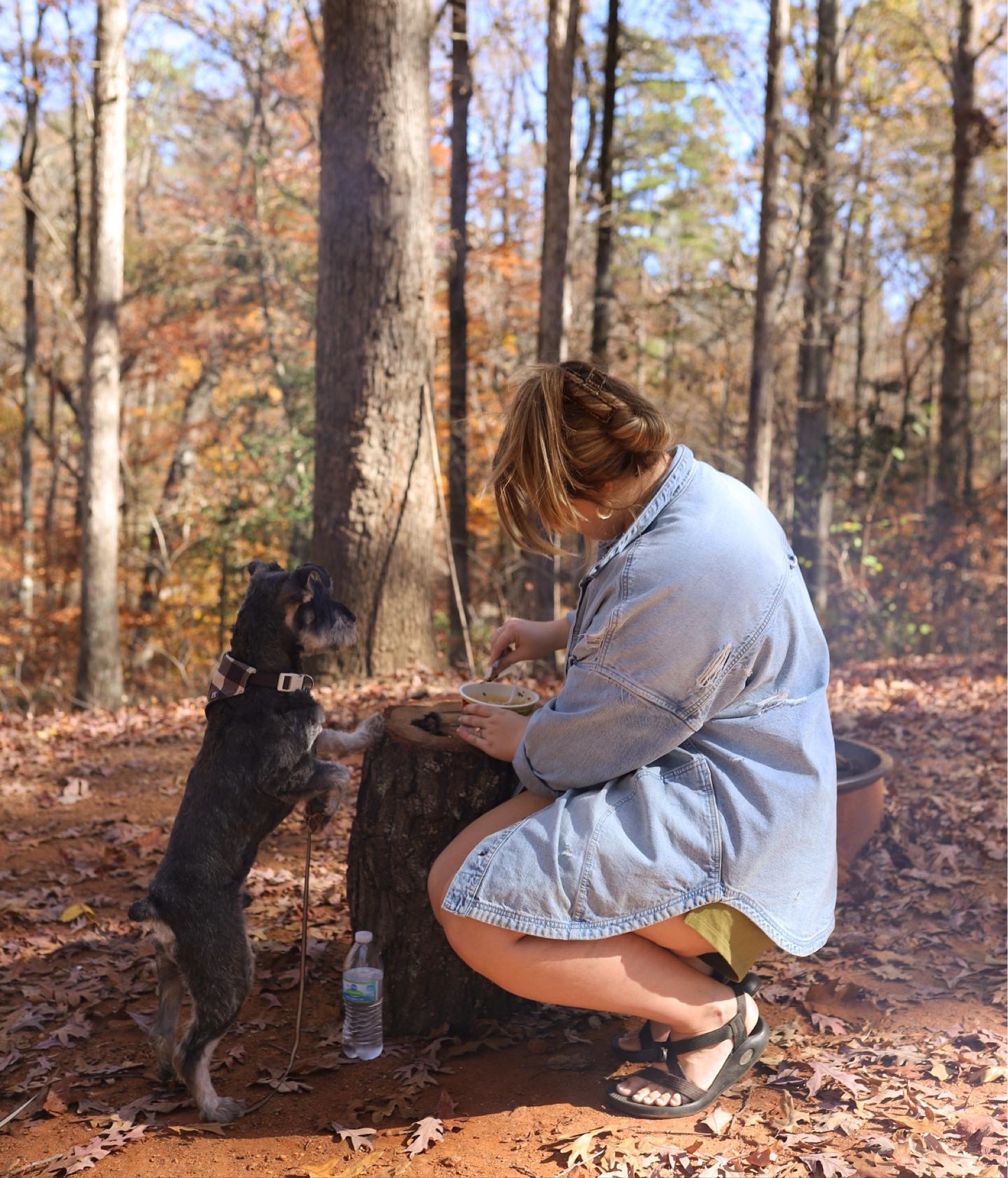 This oversized denim chore jacket is slowly becoming a staple in my tiny closet! The oversized fit makes it easy to dress up or down and has that lived in feel! 💙 

#LTKSeasonal #LTKfit #LTKtravel