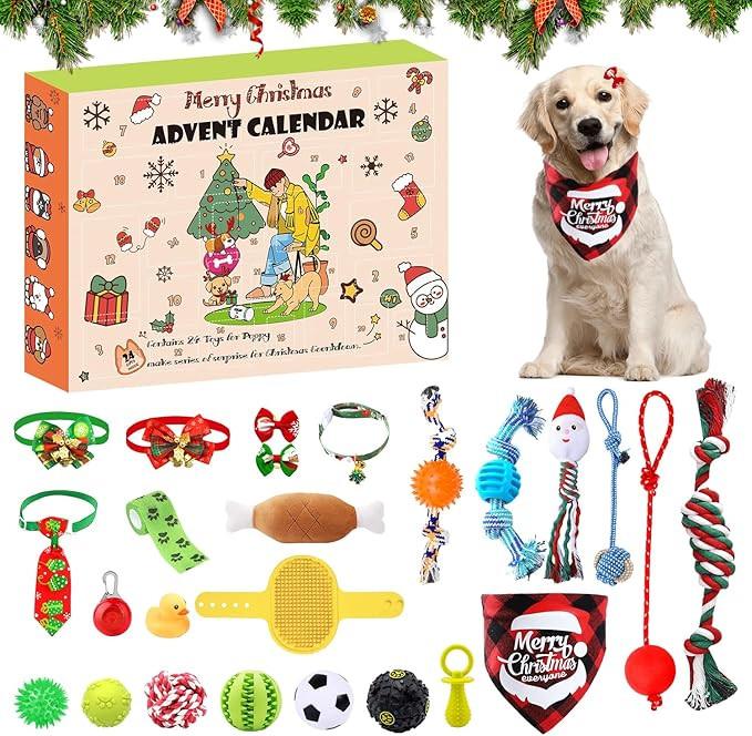 Orange | Amazon (US)