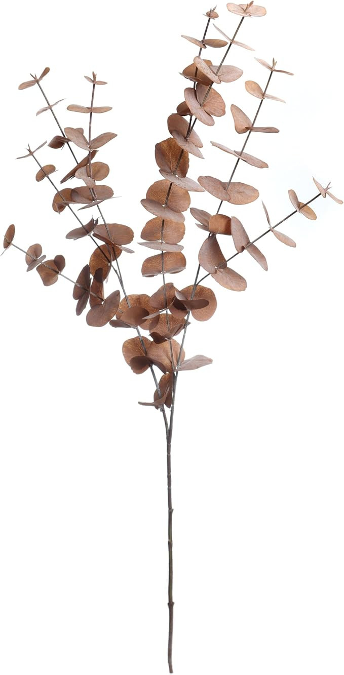 Ashland 38" Brown Eucalyptus Stem | Amazon (US)