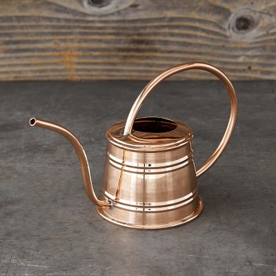 Mini Copper Watering Can | Williams Sonoma | Williams-Sonoma