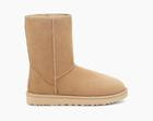 Classic Short II | UGG (US)