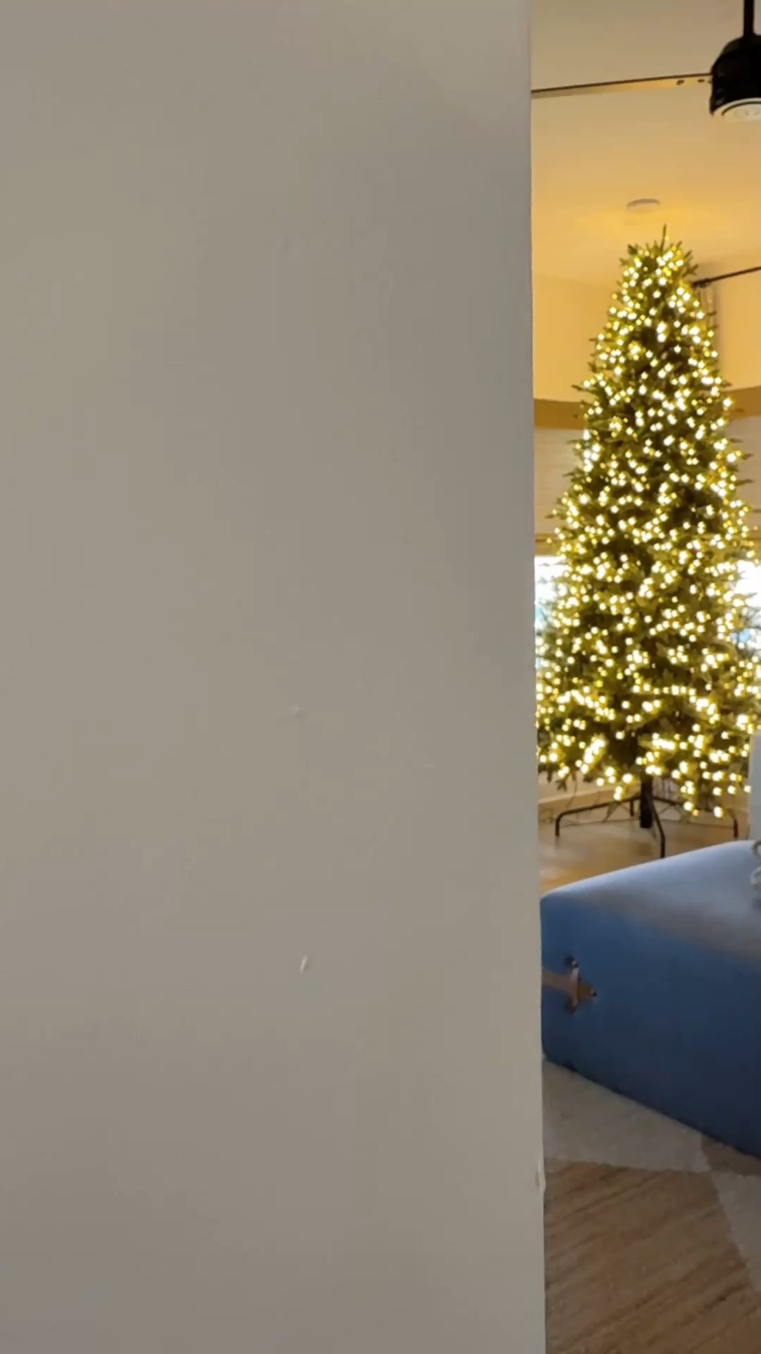 Our Costco twinkling Christmas Tree is up and ready to be adorned with all the festive tree trimmings. 

#LTKHome #LTKSeasonal #LTKHoliday