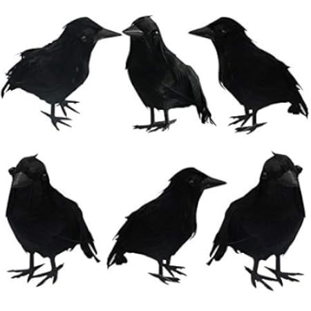 ATDAWN Halloween Black Feathered Crows, Realistic Looking Halloween Decoration Birds, 6 Pack | Amazon (US)