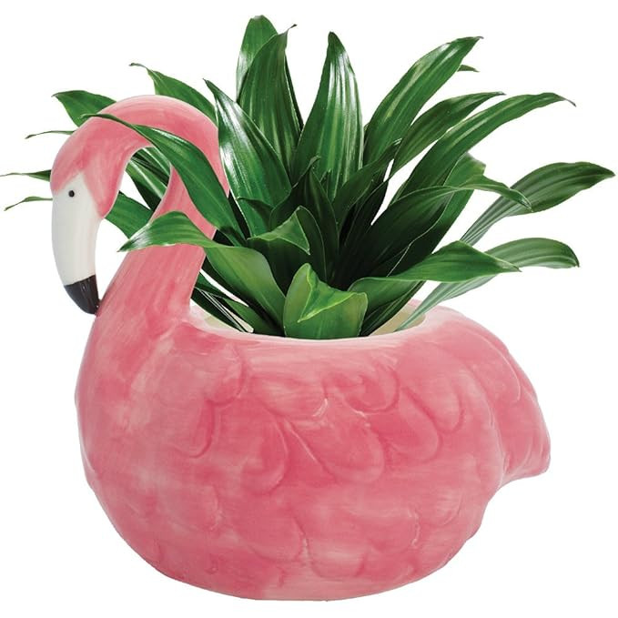 Ceramic Flamingo Planter Pot | Amazon (US)