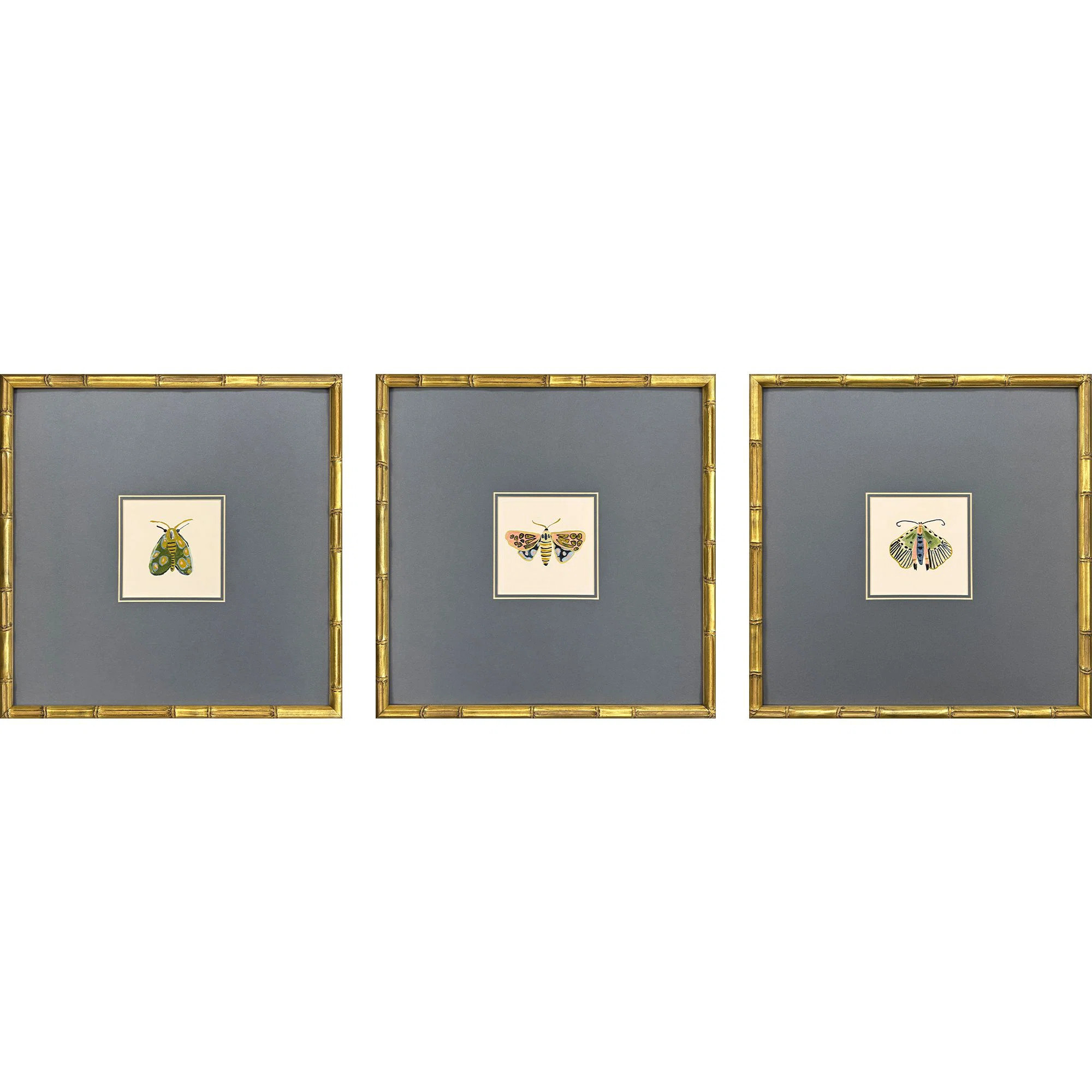 Pastel Moths II Framed Art (Set of 3) | Wayfair North America