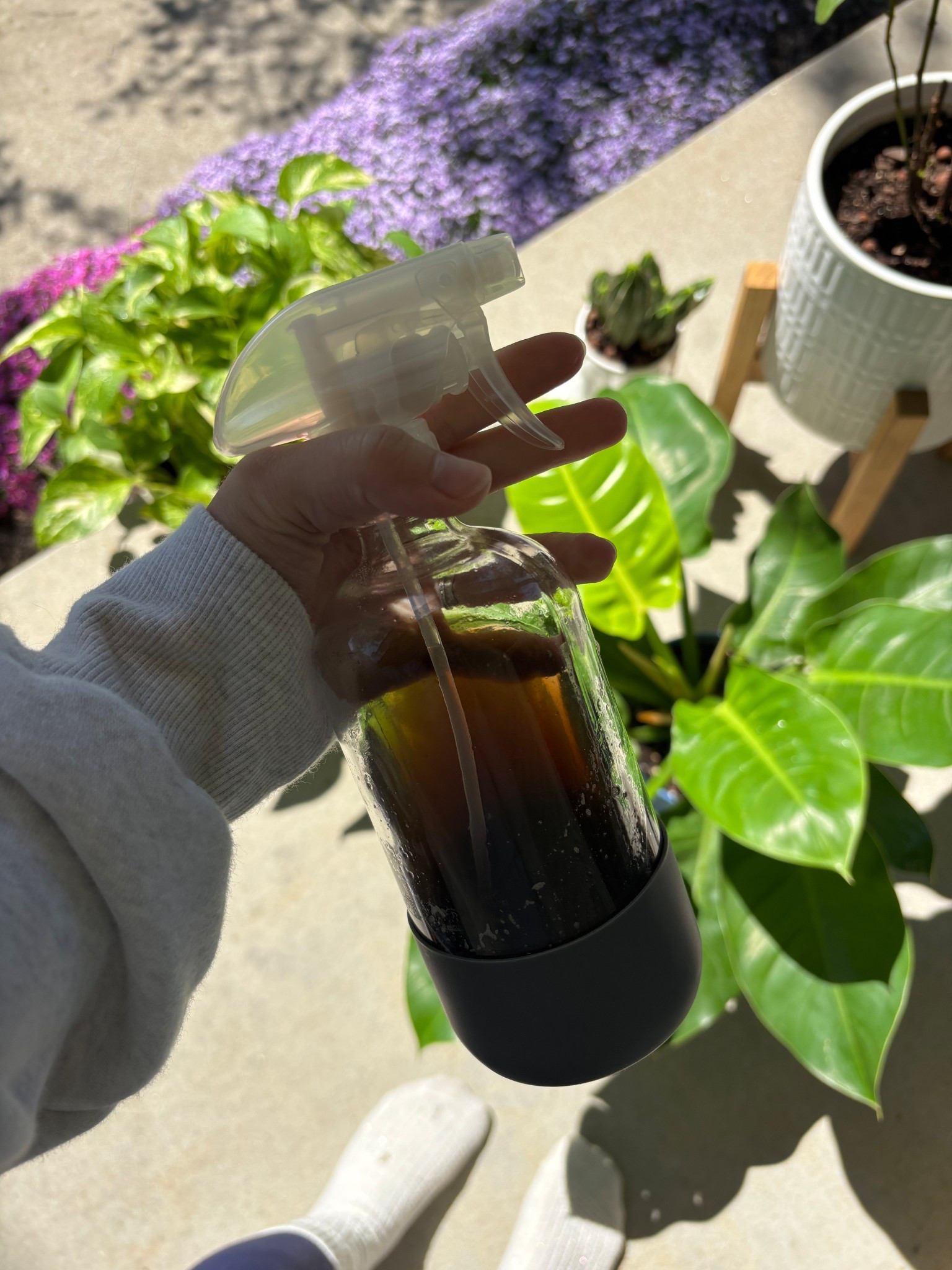 Giving every body a mist down and some sunshine! @Sol Soils 

#LTKmorningroutine #LTKSeasonal #LTKU