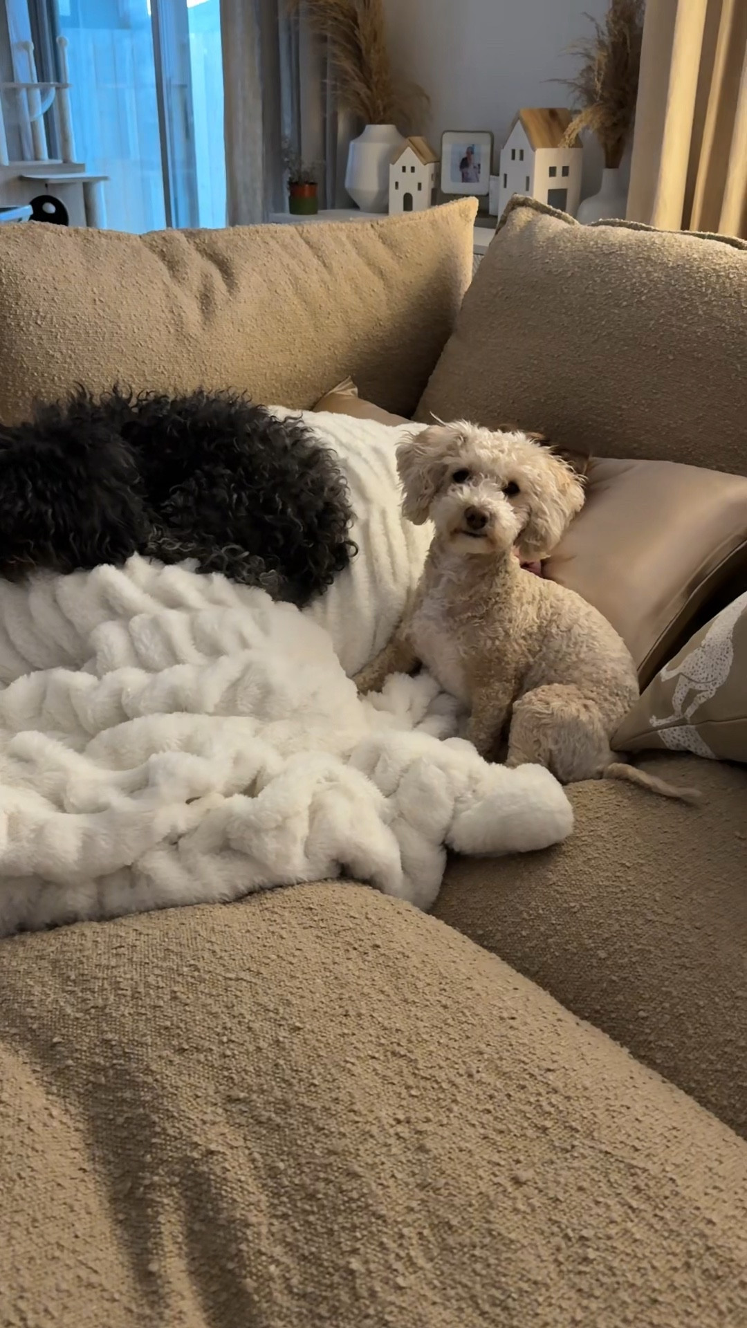 The comfiest couch ever with the comfiest blanket ever 

#LTKHome #LTKFindsUnder100 #LTKMostLoved