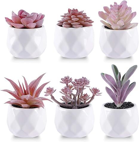 CEWOR Set of 6 Artificial Succulents Plants in Pots Small Fake Potted Plant Mini Pink Succulent f... | Amazon (US)