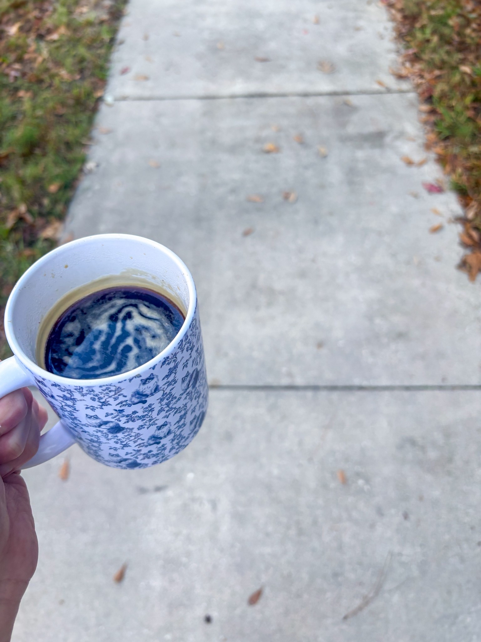 Morning sunlight, morning americano, morning walk ☕️☀️ 👟this is 2026

Sale: Currently 30% off Mold-free, pesticide-free, yummy coffee on the Purity Coffee website with my partner code LINDSAY20 

#LTKselfcare #LTKdayinmylife #LTKmorningroutine