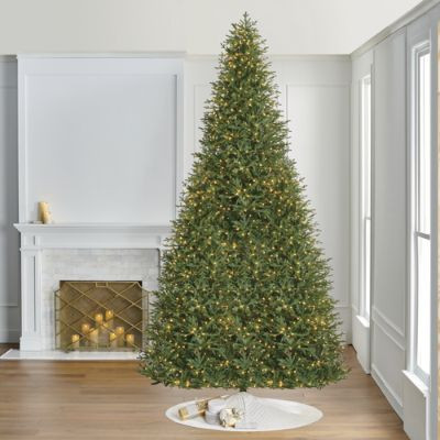 Fraser Slim Profile Tree | Frontgate