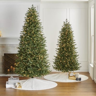 Grand Fir 7 ft. Tree | Frontgate