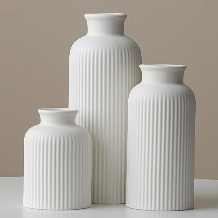 Large Modern Ceramic Vase Set, White Ribbed Matte Design, 3-Piece Decorative Vases for Home, Livi... | Amazon (US)