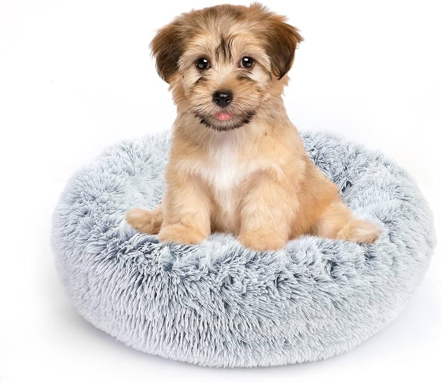 Finally found a bed small enough! Calming bed for your furry pal. Various sizes availablee

#LTKPets #LTKFamily #LTKHome