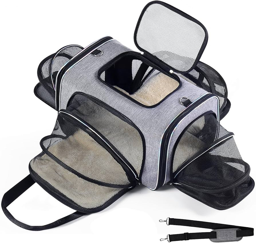 Airline Approved 4 Sides Expandable Cat Carrier Bag, Soft-Sided Collapsible Pet Travel Carrier wi... | Amazon (US)