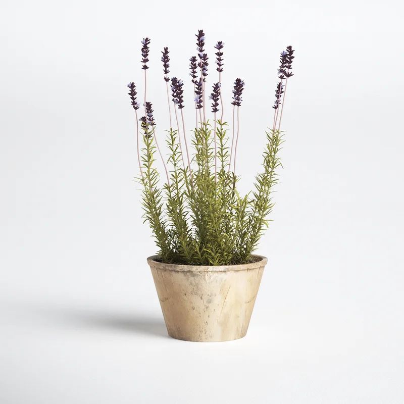 French Lavender Floral Arrangement in Pot | Wayfair North America