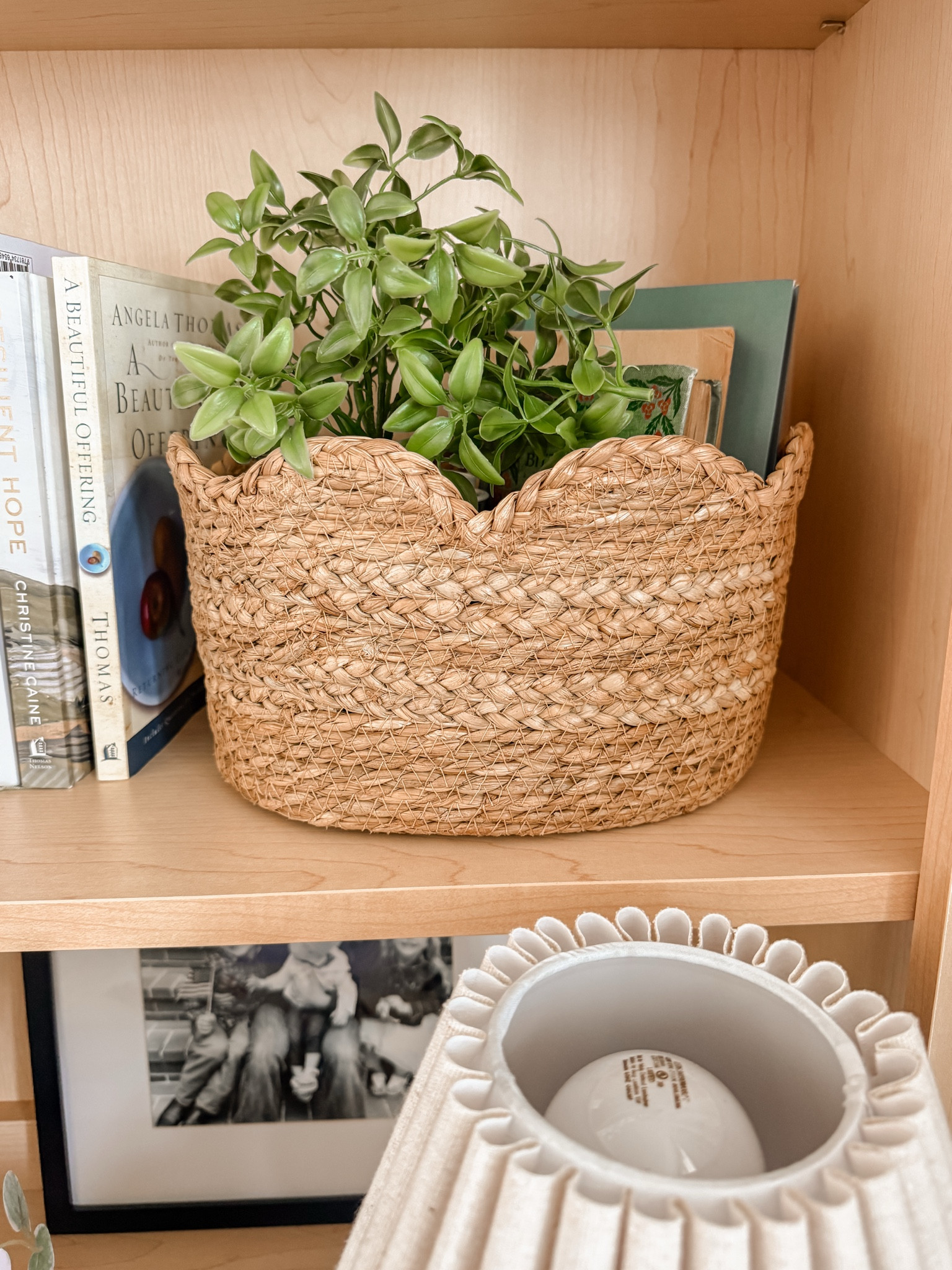 Great size scalloped basket for shelves! 

Target home, target style, Sarah Joy 

#LTKHome #LTKSaleAlert