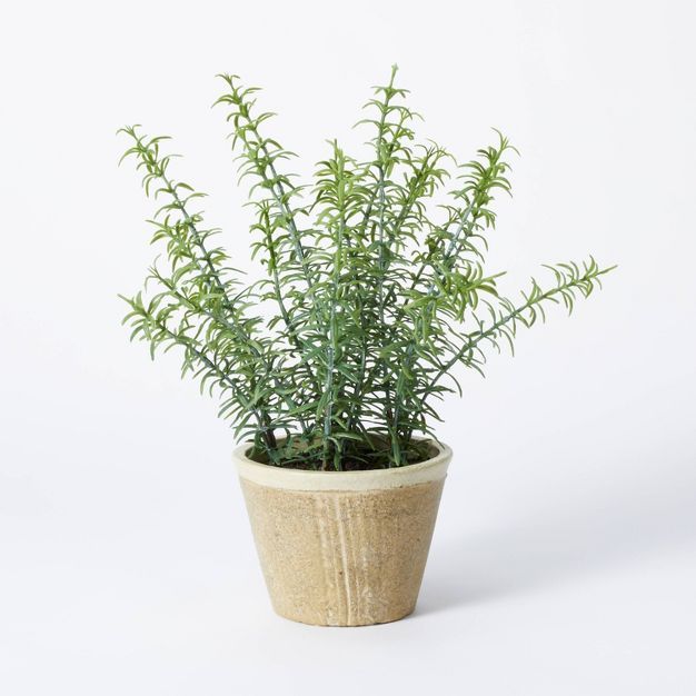 Potted Rosemary - Threshold™ designed with Studio McGee | Target