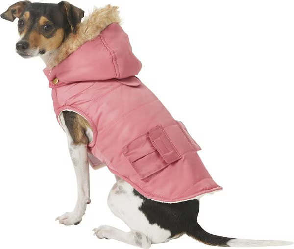 Frisco Mid-Heavyweight Portland Insulated Dog & Cat Parka | Chewy.com